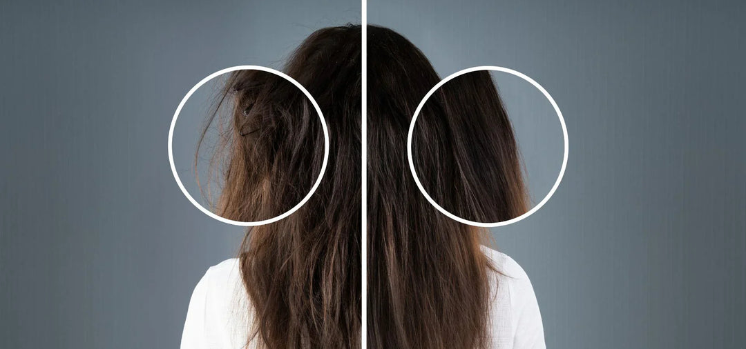 Repair damaged hair tips
