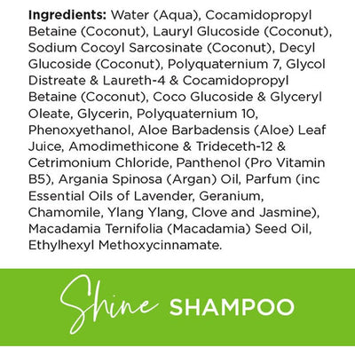Boost & Be Shine Shampoo and Conditioner 